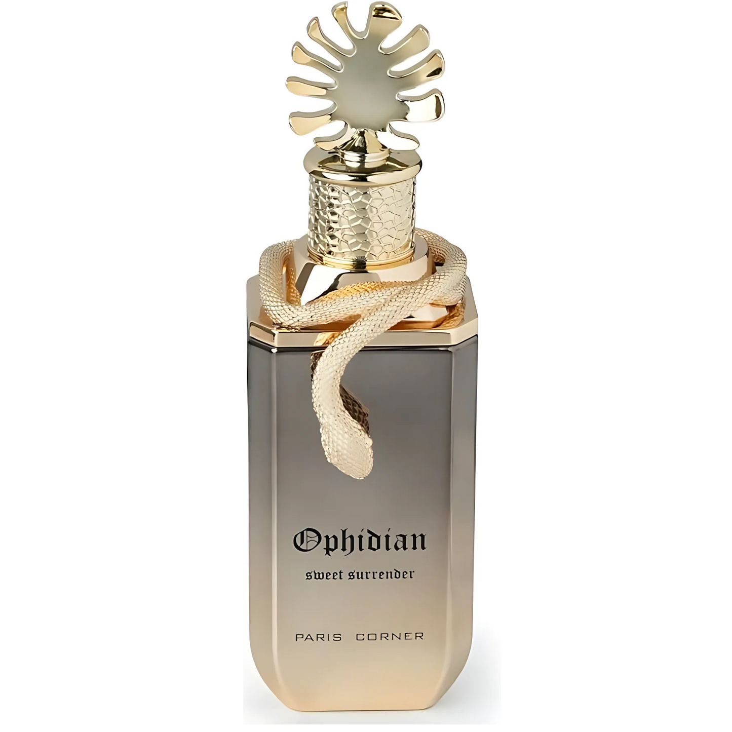 Ophidian Sweet Surrender Paris Corner 100ML: Sweet and Elegant Unisex Arabic Perfume