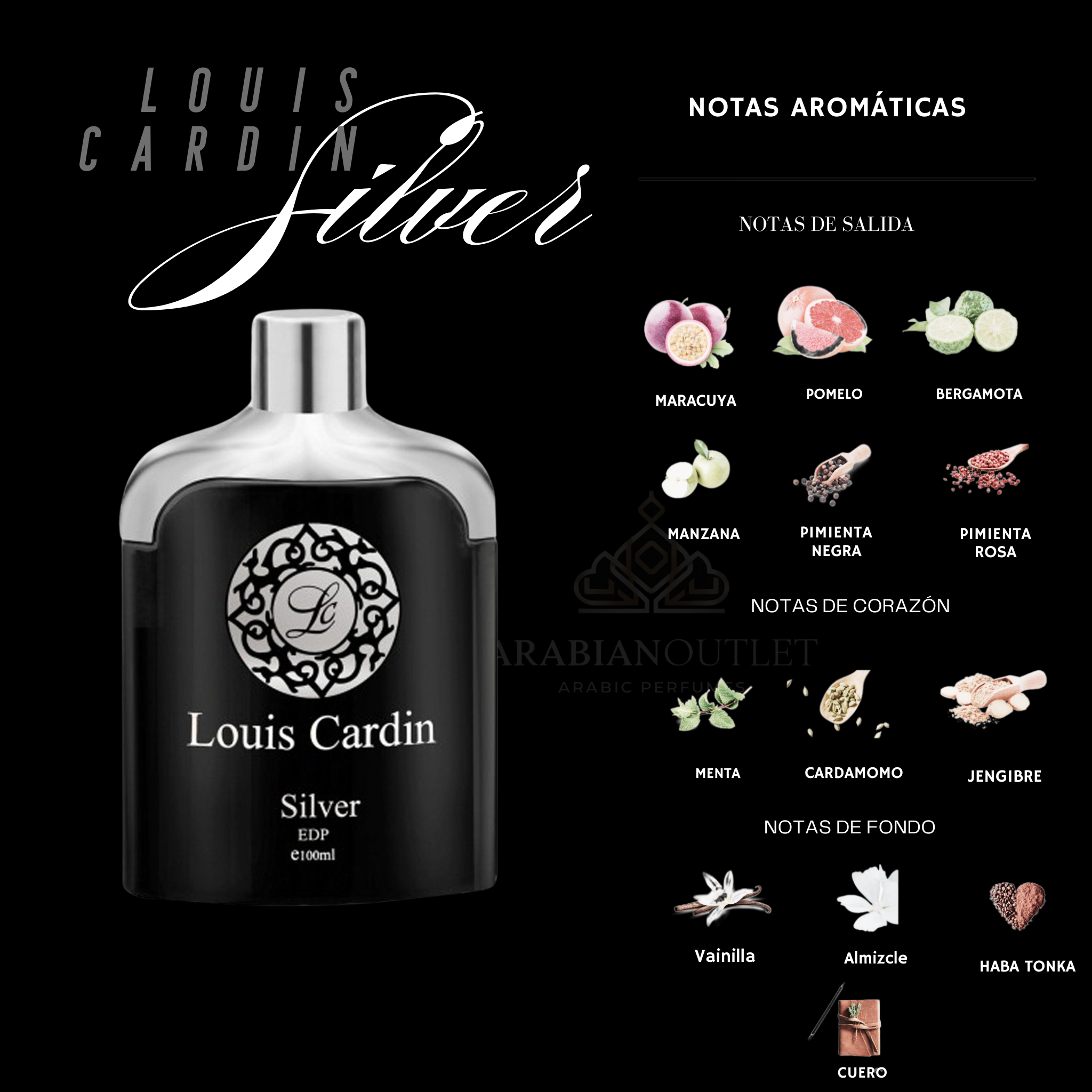 Louis Cardin Silver Homme Eau de Parfum