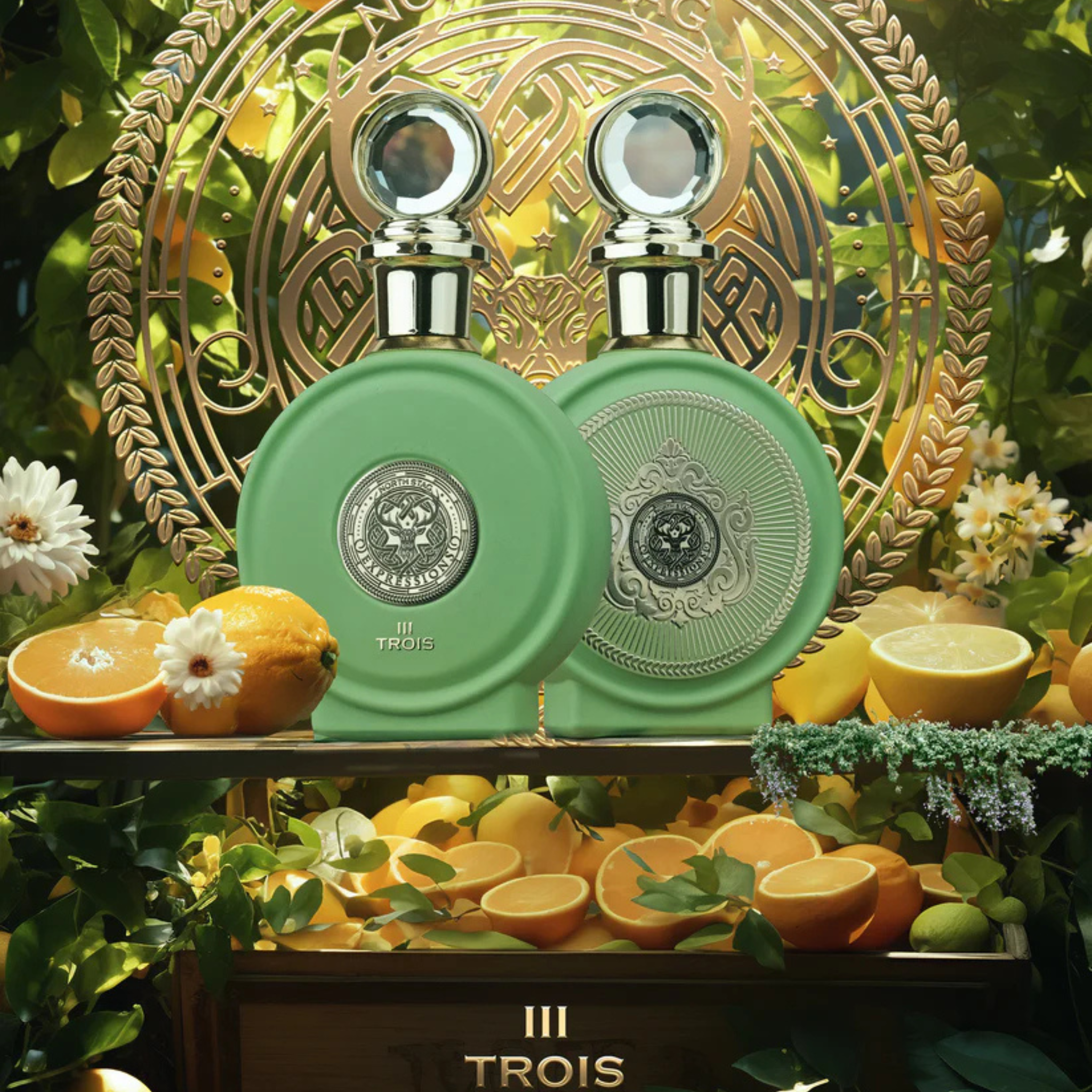 Perfume árabe Paris Corner North Stag Expressions Trois III 100 ml