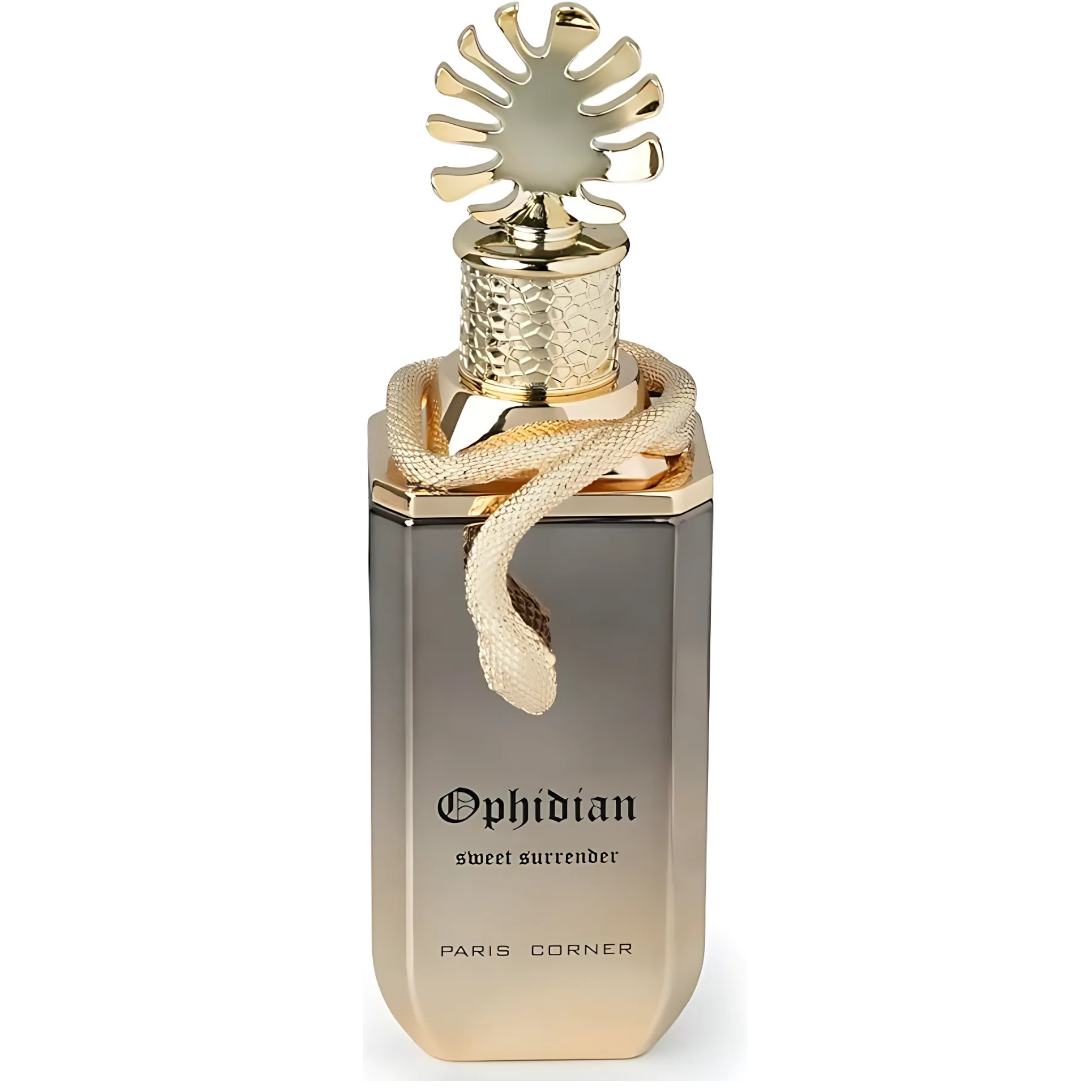 Ophidian Sweet Surrender Paris Corner 100ML: Sweet and Elegant Unisex Arabic Perfume