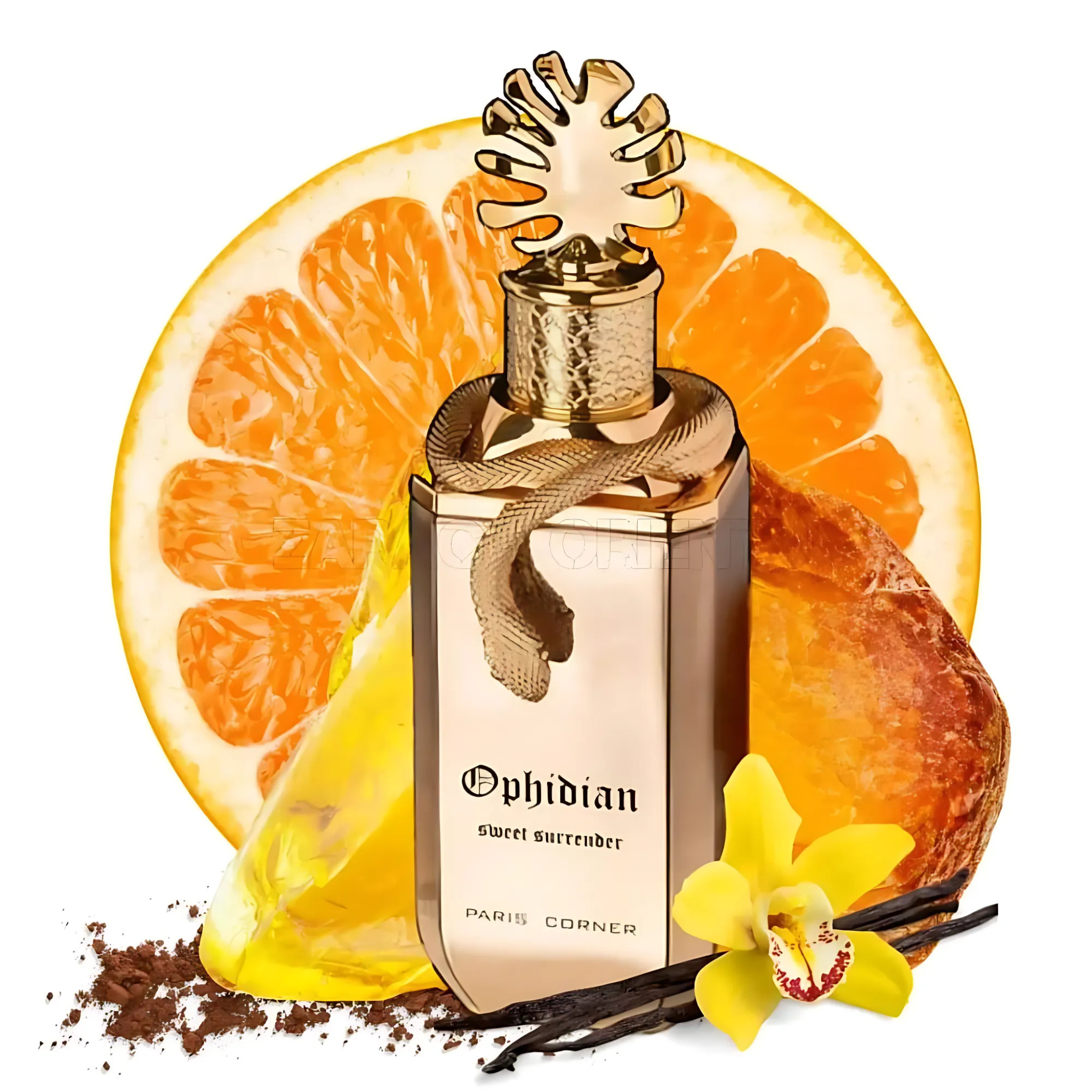  Perfume arabe Ophidian Sweet Surrender Paris corner