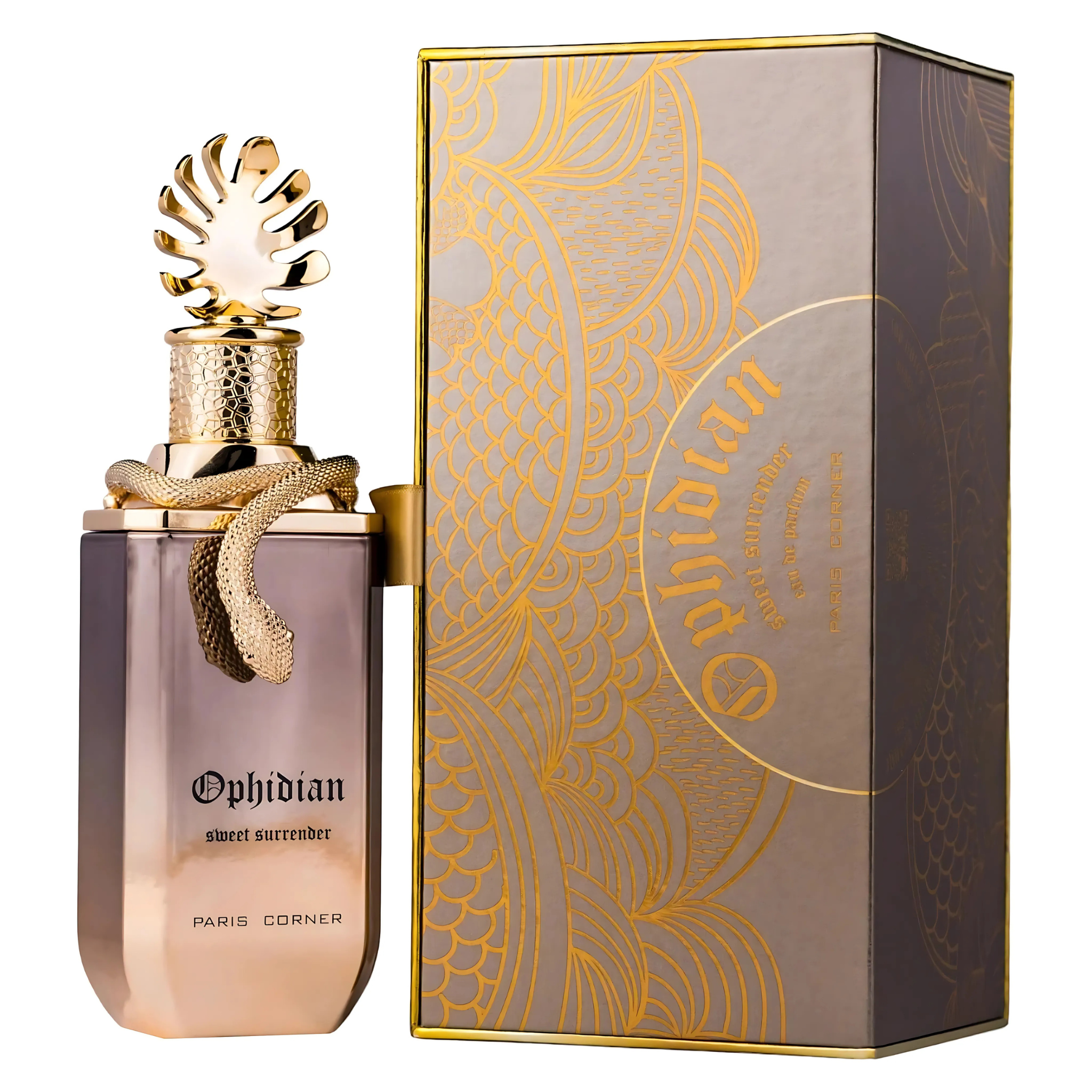  Perfume arabe Ophidian Sweet Surrender Paris corner