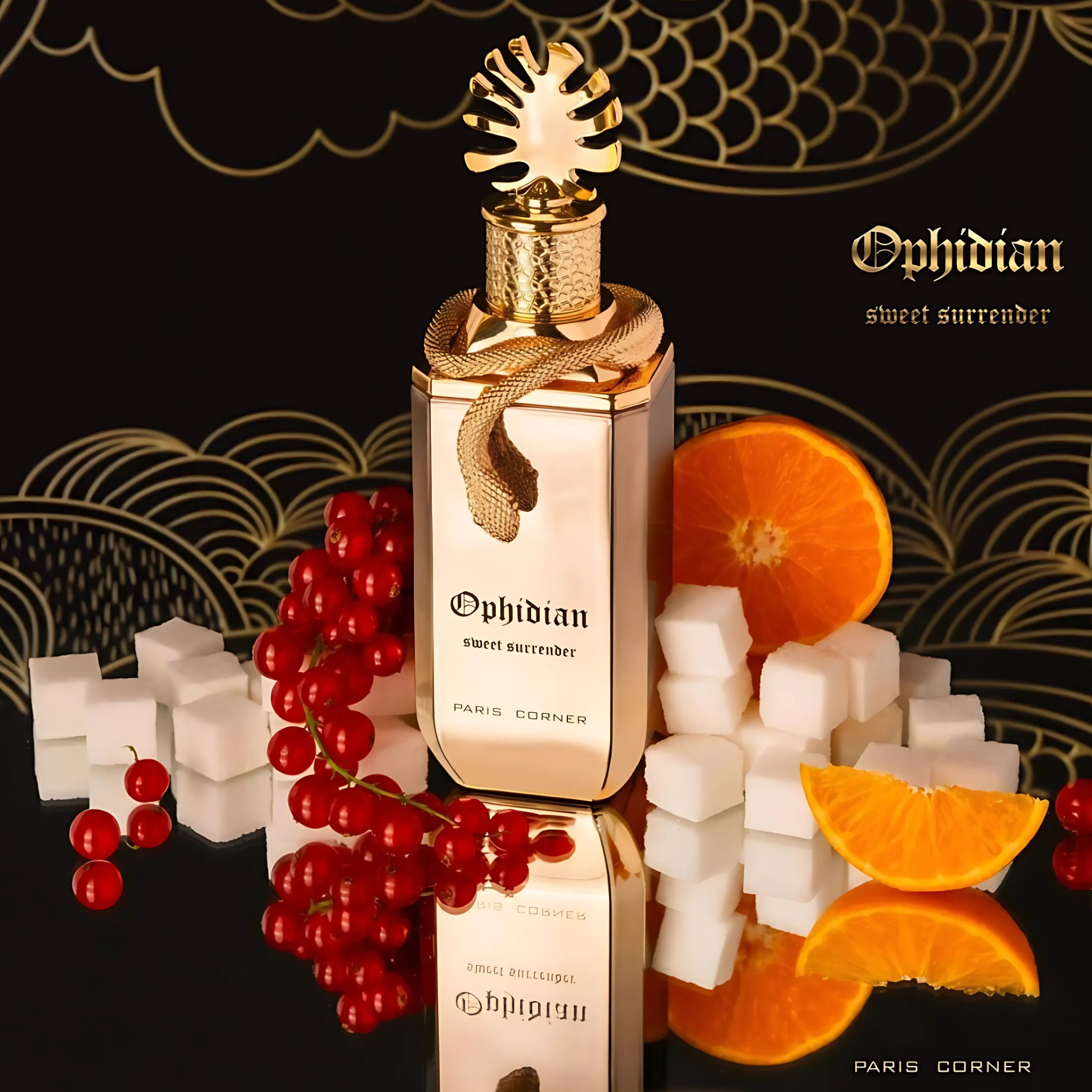  Perfume arabe Ophidian Sweet Surrender Paris corner